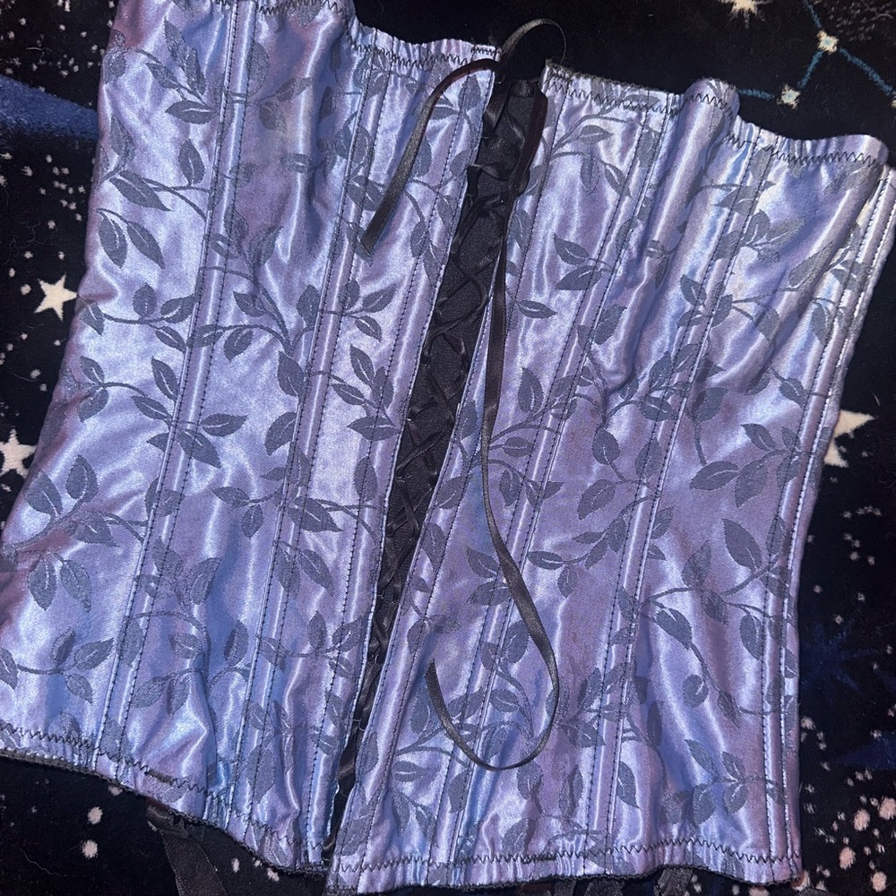 Victoria’s Secret Corset!